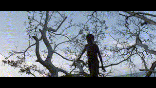 The Thin Red Line เดอะ ทิน เรด ไลน์ ฝ่านรกยึดเส้นตาย (1998)